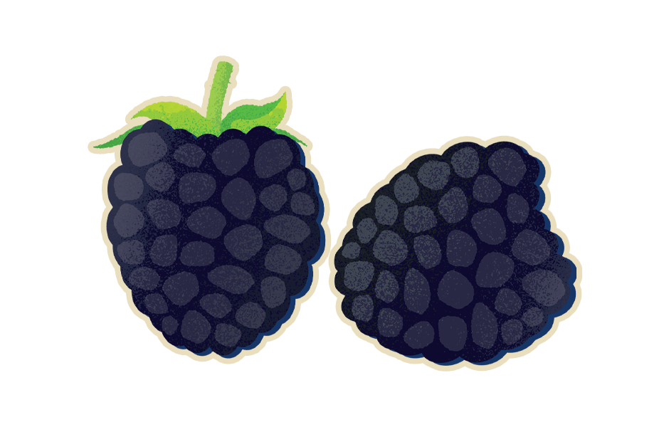 Blackberries Blackberries