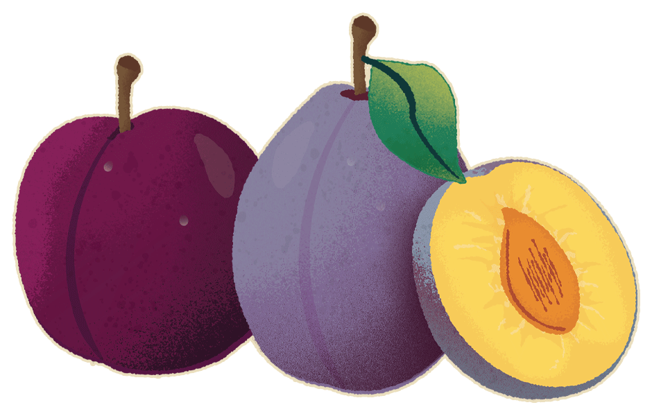 Damson & Plums Damson & Plums
