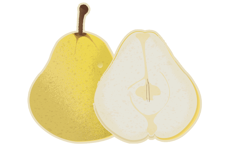 Quince Quince
