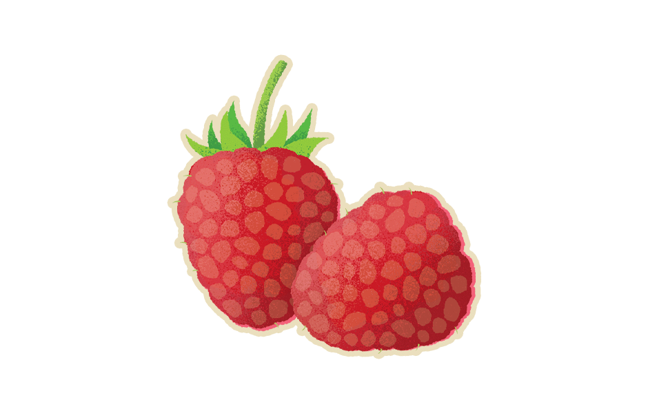 Raspberries Raspberries